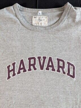 Vintage 90s Champion Harvard Heather Grey Crewneck Tee with Maroon Logo XL